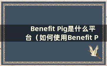 Benefit Pig是什么平台（如何使用Benefit Pig）